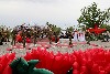  ���� ������ � ��������� �����: ������, �����, ������ ������ � ���������� ����