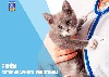  ������������ ����� ������������� ������ ��������� � ���� ������������� ���������