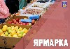  12 �������� � ��������� ������� �������